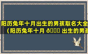 阳历兔年十月出生的男孩取名大全（阳历兔年十月 🐛 出生的男孩取名大全及寓意）